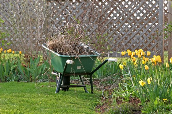 Flower Bed Cleanup Service in Richardson