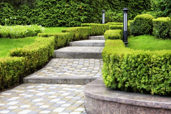 Backyard Remodeling in Richardson