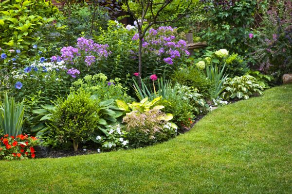 Flower Bed Service in Richardson