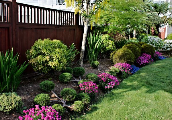 Garden Care Service in Richardson
