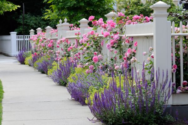Garden Handyman Service in Richardson