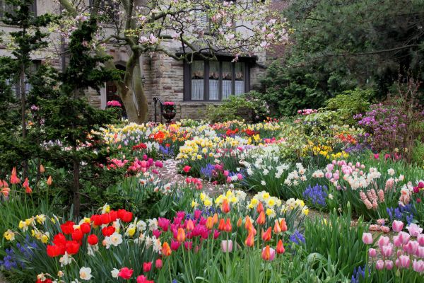 Garden Maintenance Service in Richardson