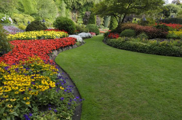 Landscaping Maintenance in Richardson