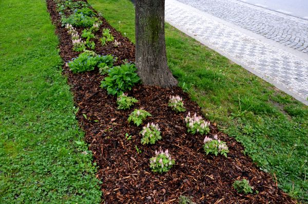 Mulch Replacement Service in Richardson