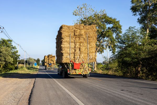Pine Straw Delivery in Richardson