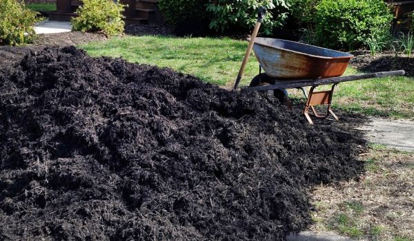 Black Mulch Delivery in Richardson