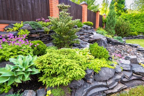 Landscape Remodeling in Richardson