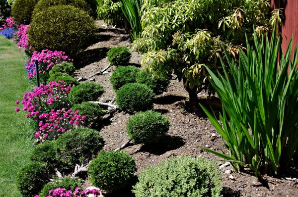 Residential Gardening in Richardson