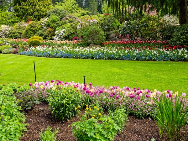 Residential Landscape Design in Richardson