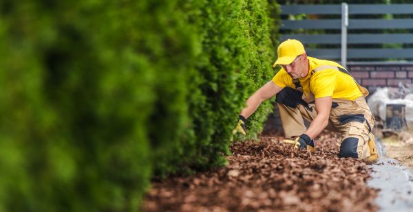 Cypress Mulch Installation in Richardson