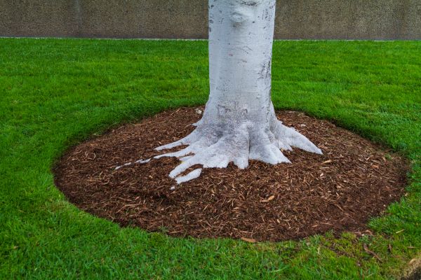 Brown Mulch Installation in Richardson