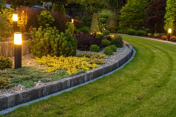 Garden Repair Service in Richardson