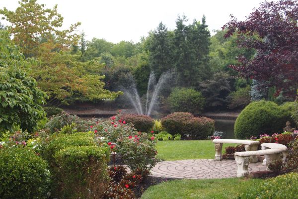 Courtyard Design Service in Richardson