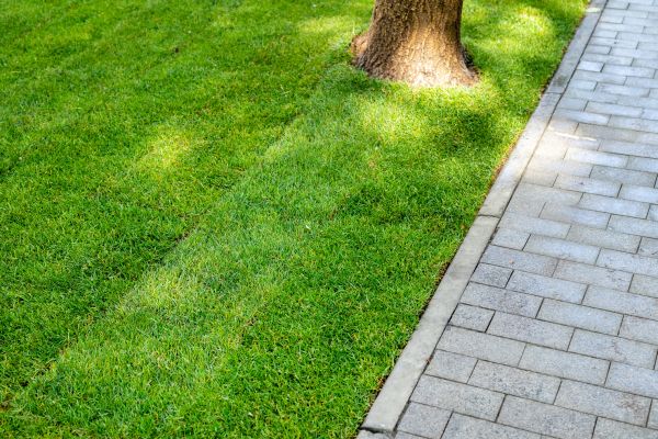 Border Stone Installation in Richardson