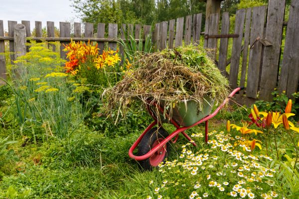Garden Cleanup Service in Richardson