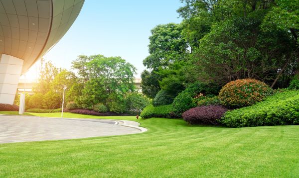 Business Landscape Design in Richardson