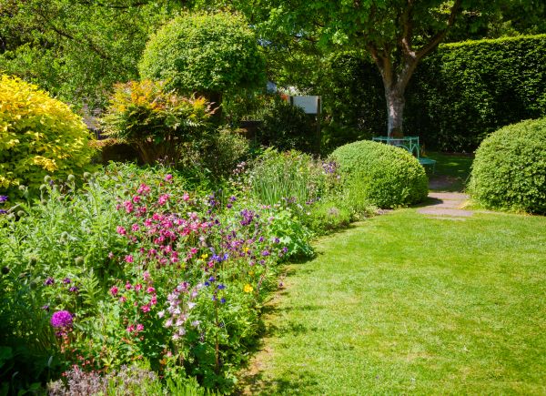 Yard Landscaping Service in Richardson