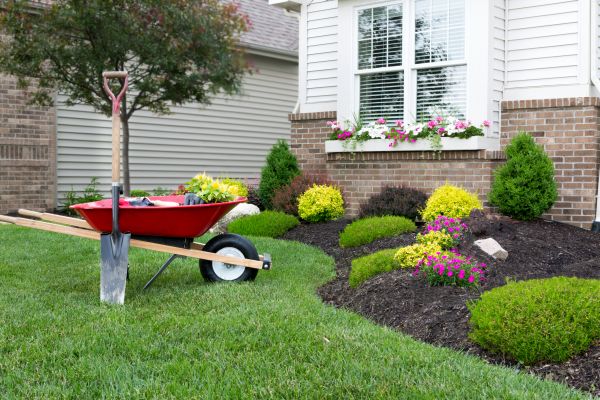 Tree And Shrub Planting in Richardson