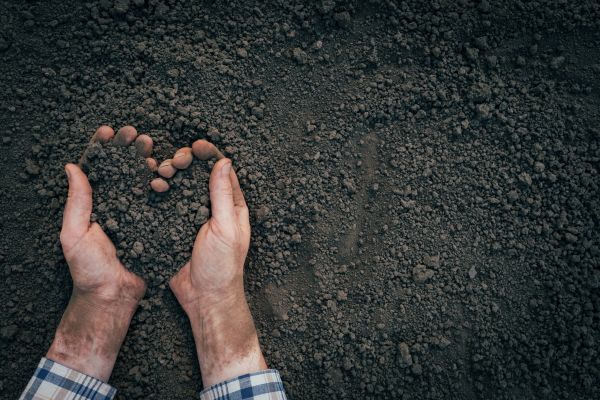 Soil Installation in Richardson