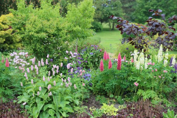 Flower Bed Planting in Richardson