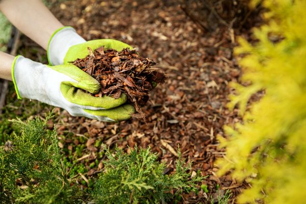 Garden Mulch Delivery in Richardson