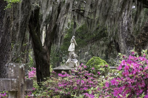 Cemetery Landscaping in Richardson