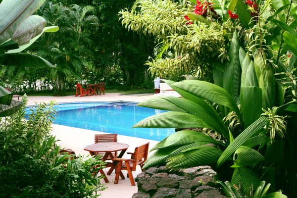 Tropical Garden Landscaping in Richardson