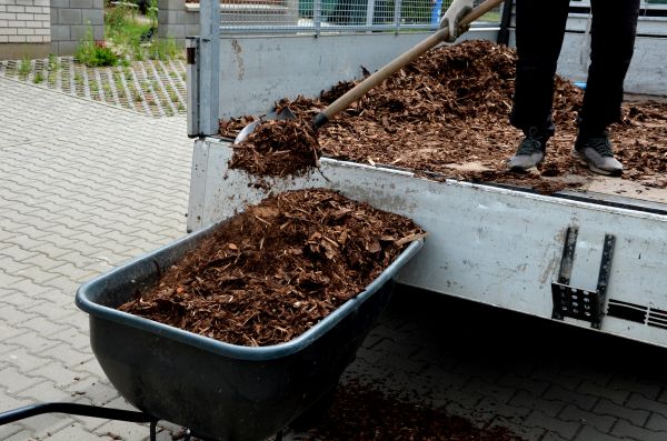 Cypress Mulch Delivery in Richardson