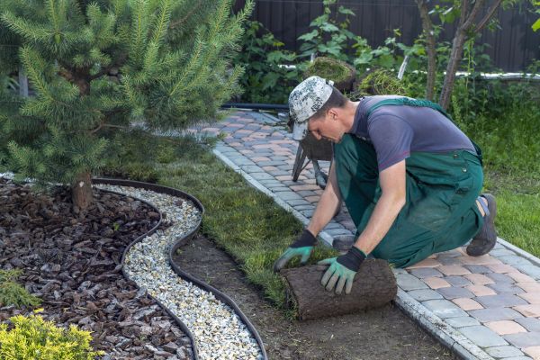 Landscaping Modification in Richardson