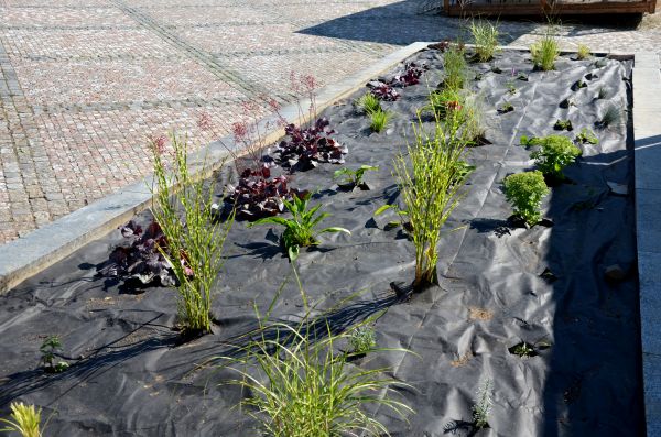 Landscape Fabric Installation in Richardson