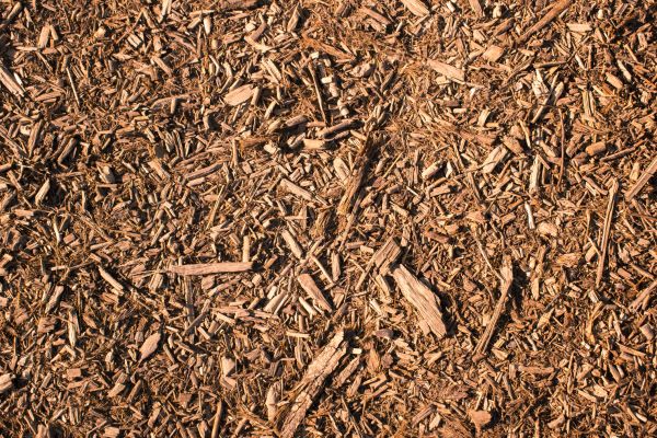 Wood Chips Removal in Richardson