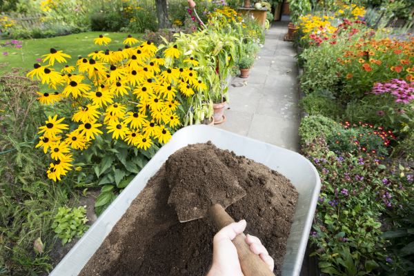 Topsoil Replacement in Richardson