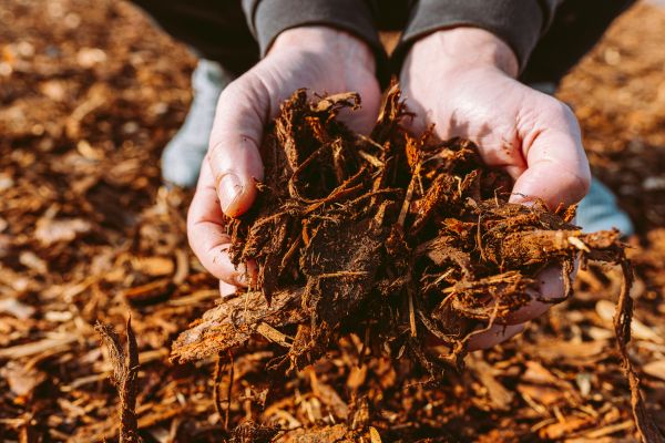 Bark Chips Delivery in Richardson
