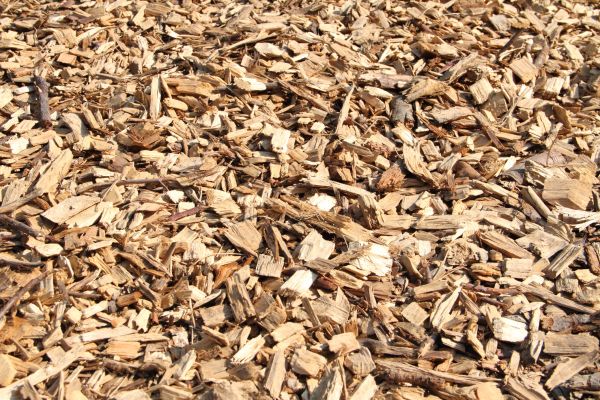 Wood Mulch Delivery in Richardson