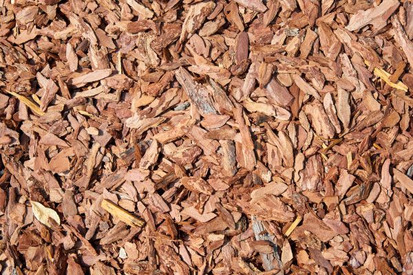 Pine Mulch Delivery in Richardson