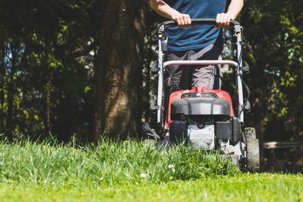 Garden Trimming Service in Richardson