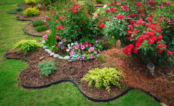 Floral Landscaping in Richardson