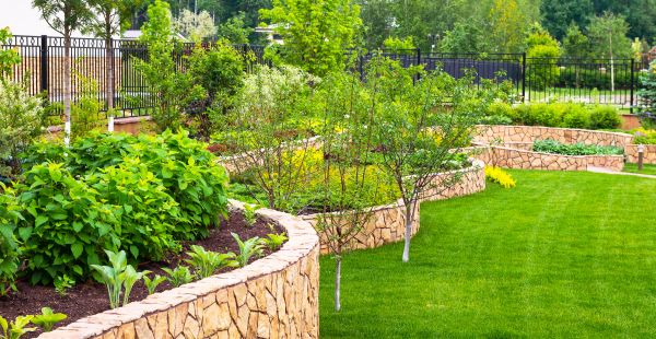Yard Makeover Service in Richardson