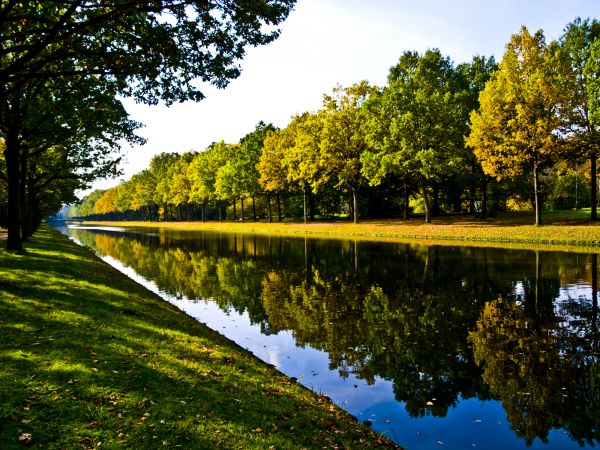 Bank Landscaping in Richardson