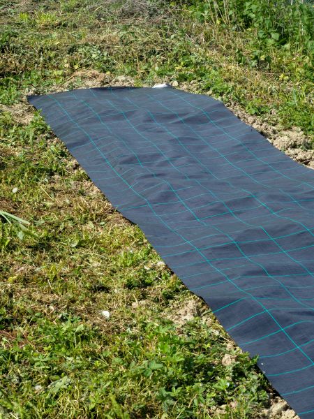 Weed Suppressant Installation in Richardson