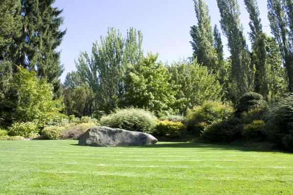 Yard Enlargement in Richardson