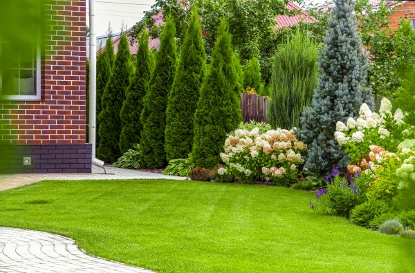 Spring Landscaping in Richardson