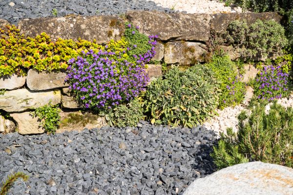 Landscaping Rocks Installation in Richardson