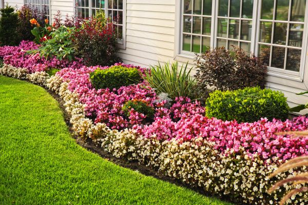 Garden Landscape Design in Richardson