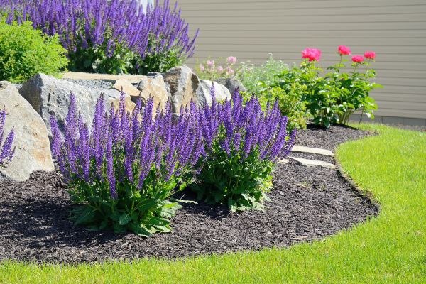 Landscape Planting Service in Richardson