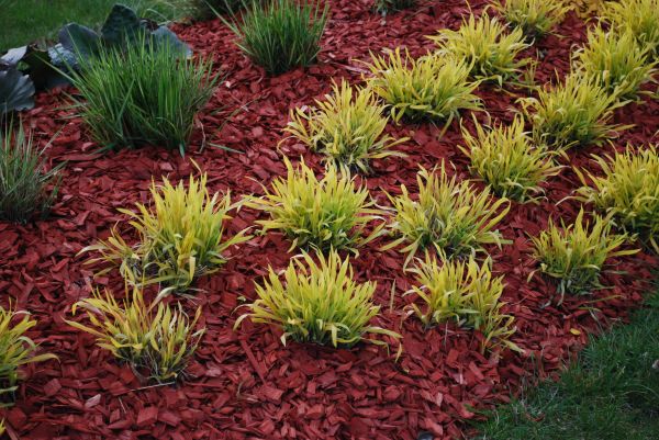 Red Mulch Installation in Richardson