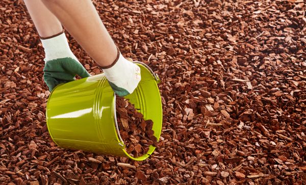 Wood Chip Landscaping in Richardson