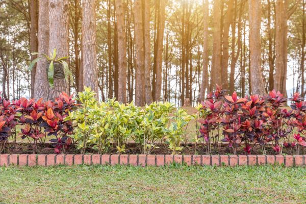 Small Garden Landscaping in Richardson