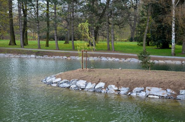 Pond Landscaping Service in Richardson