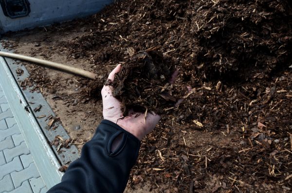Condo Mulching in Richardson